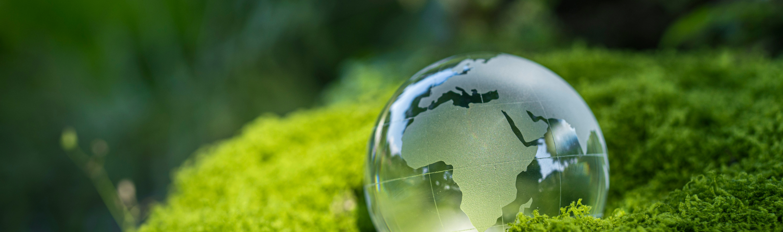 ESG for SMEs – What is in it for you  